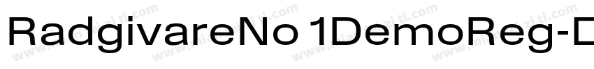 RadgivareNo 1DemoReg字体转换